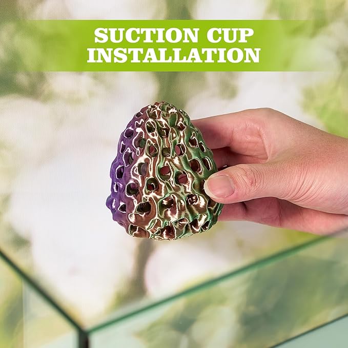 Shrimp Dome Hide, Shrimp Hides for Aquarium, Betta Fish Hideout with Suction Cup, Betta Habitat Tank Ornament Accessories, Aquarium Decor for Small Fish Guppy Hiding Resting (Lid Green Purple)