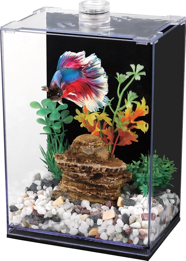 Betta Fish Tank with LED Light, 15x10x20 cm, Acrylic Aquarium with Cover and Black Wall Paper