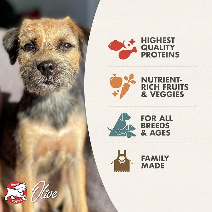 Fromm Four-Star Nutritionals Surf & Turf Dog Food - Premium Dry Dog Food - Salmon Recipe - 26 lb