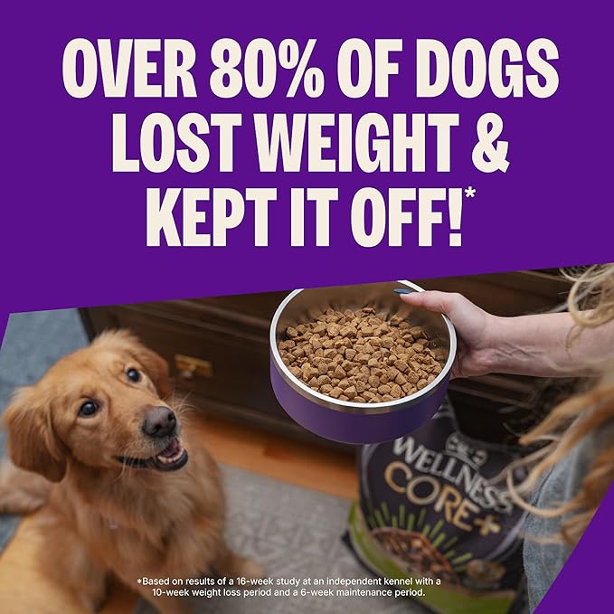 Wellness CORE Healthy Weight Adult Dry Dog Food, Grain Free Kibble, Natural, High Protein, Turkey and Chicken Recipe, 26 lb Bag