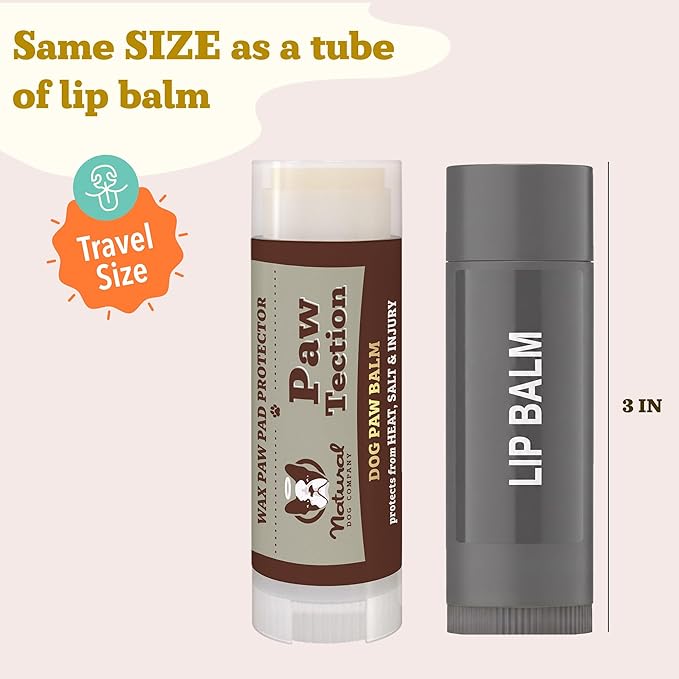 Natural Dog Company PawTection Balm for Dogs – Winter Paw Protection from Snow, Ice & Salt, Wax-Based Paw Barrier Balm, All Breeds for Cold Weather Walks & Outdoor Adventures, Lick-Safe, 0.15 oz Stick
