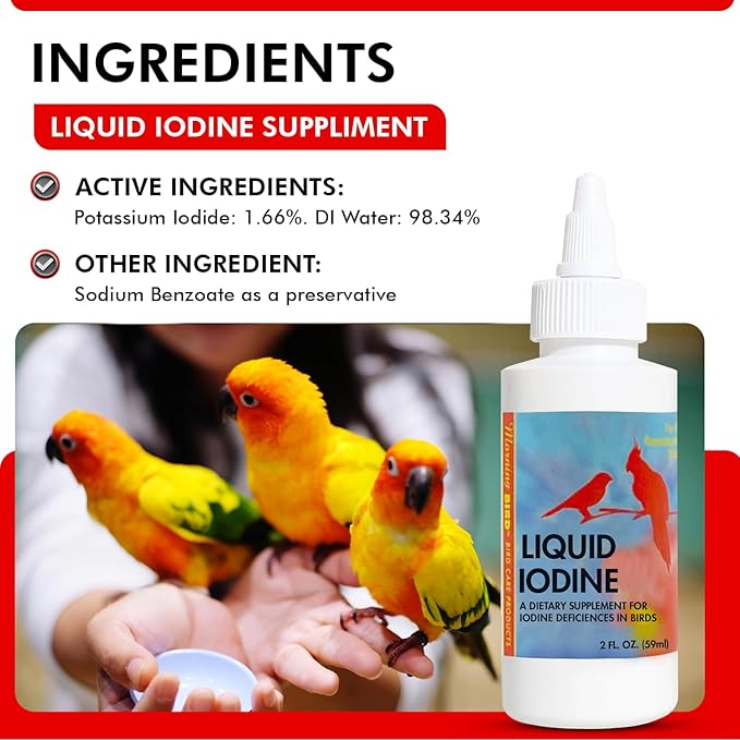 Morning Bird Liquid Iodine for Birds 2 fl oz – Iodine Mineral Supplement – Supports Feather Growth, Molting, Energy & Healthy Thyroid Function – Easy-to-Use Drops