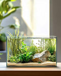 10 Gallon Ultra Clear Rimless Glass Fish Tank, Easy to Maintain Small Aquarium for Betta, Goldfish, Shrimp, Snails and Aquatic Plants