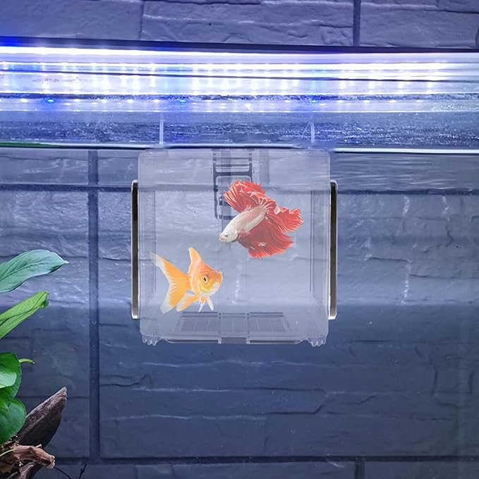 Fish Breeding Box, Fish Isolation Box, Acrylic Fish Isolation Hatchery Tank, Hanging Aquarium Fish Incubator Box with Detachable Mesh Lid for Baby Fish Guppy Betta Newborn Fish Shrimp 5.9x5.9x5.9