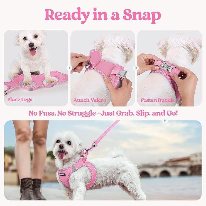rabbitgoo Dog Harness Small Sized and Leash Set, Step in Soft Light Puppy Vest, Breathable Mesh Pet Harness, Reflective for Safe Easy Walking, Pink & Plaid Trim S