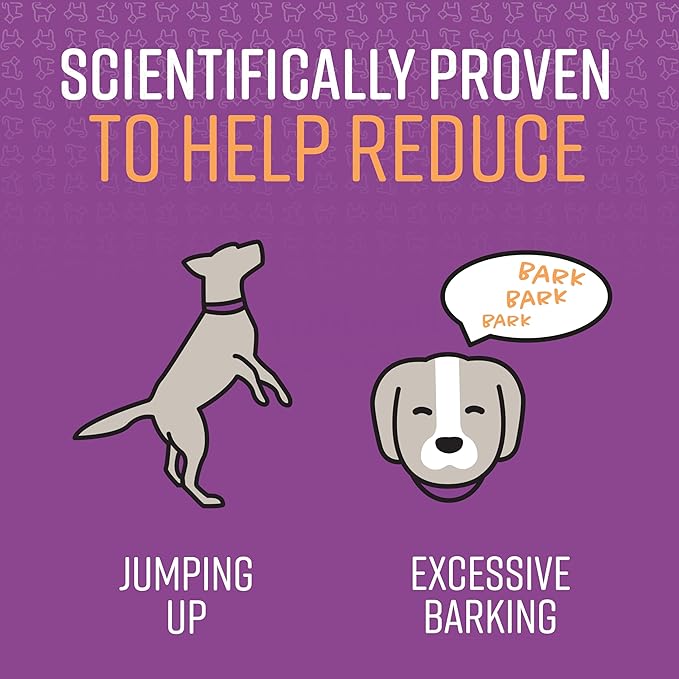 Sentry Pet Care Stop That! Behavior Correction Spray for Dogs, Easy Spray Application, Noise and Pheromones Help Eliminate Excessive Barking, Marking, Jumping, and Other Unwanted Behaviors