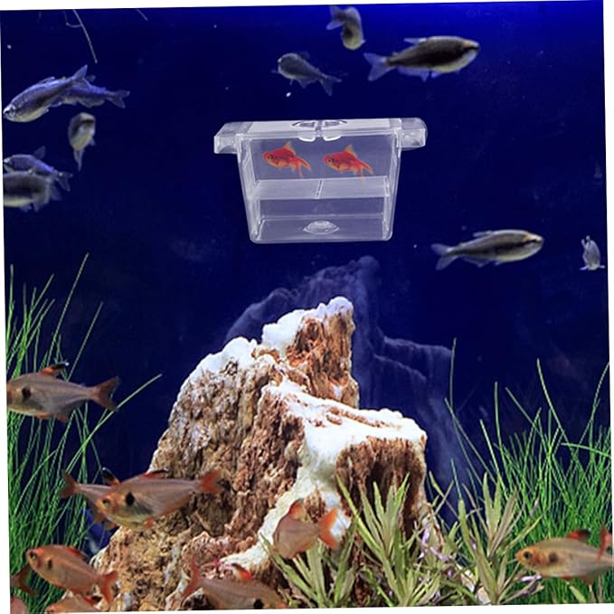GANAZONO 4pcs Double-Layer Fish Fry Incubator Box Self-Floating Aquarium Breeding Box for Fish Tank Nursery and Isolation of Betta