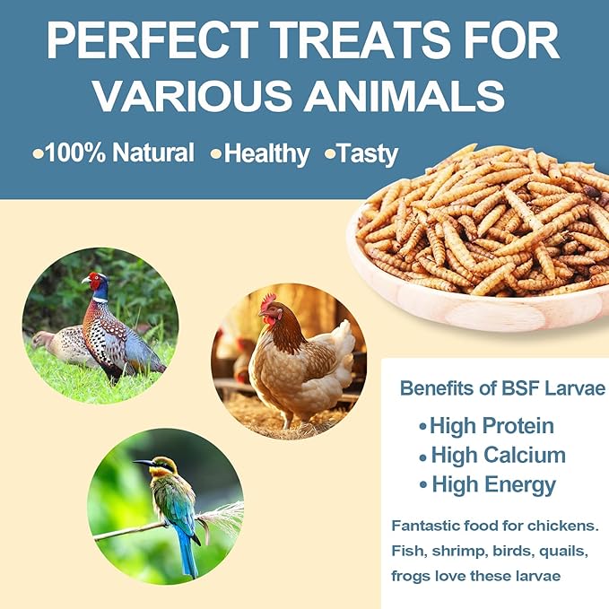 BSF Larvae 85X Calcium Than Dried Meal Worms 20LB(5lbx4) for Chicken Feed - Bulk Black Soldier Fly Larvae Poultry Treats - BSF Grubs Non-GMO Food High Protein Meal Worms for Hens,Wild Bird
