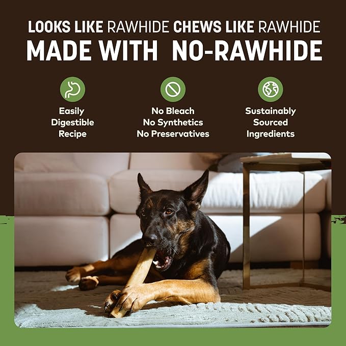 Earth Animal No Hide Chews - Long Lasting Rawhide Free Large Dog Chews Rolls, Pork - 2 Count