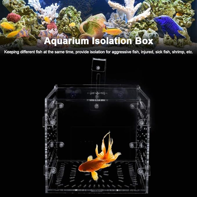 Fish Tank Breeding Box Aquarium Isolation Box Transparent Acrylic Fish Tank Incubation Box for Aggressive Injured Sick Fish Shrimp 15x15x15cm 30x15x15cm 20x20x20cm (15CM*15CM*15CM)