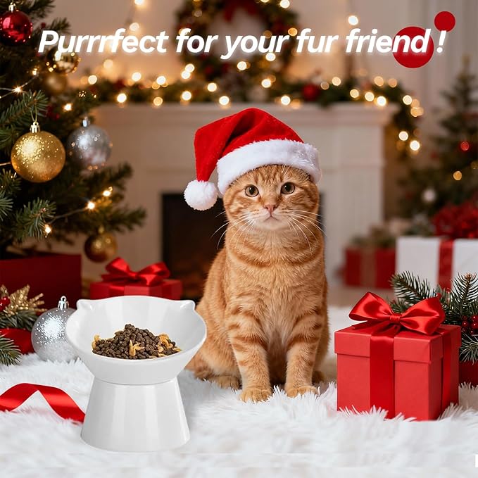 Detachable Elevated Cat Bowls, 15° Tilted Raised Cat Food Bowl Anti-Vomiting, Whisker Friendly, Adjustable Pet cat Dishes for Protecting Spine, Adult Kitten (White)