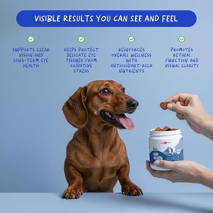 Eye Support for Dogs - 90 Soft Chews - Dog Supplements for Vision, Eye Vitamins for Dogs, with Cod Liver Oil Antioxidant, Dog Omega Supplement, Omega 3 EPA and DHA Fatty Acids.