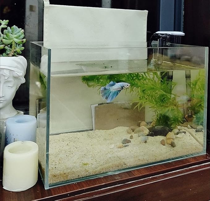 Small Nano Tall Rimless Tank, Glass Fish Tank, Betta Fish Tank, Aquarium (2.85 Gal, 11.8x6.7x7.8 inch)