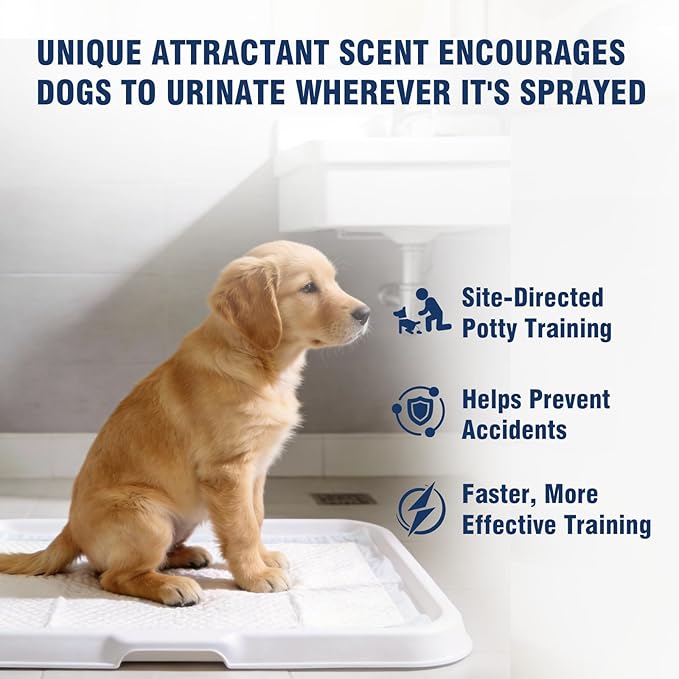 Potty Training Spray for Dogs, Go Here Dog Potty Training Spray & Dog Pee Spray, Puppy Potty Training Aid for Housebreaking, Natural Indoor & Outdoor Use, 5.07 Fl OZ