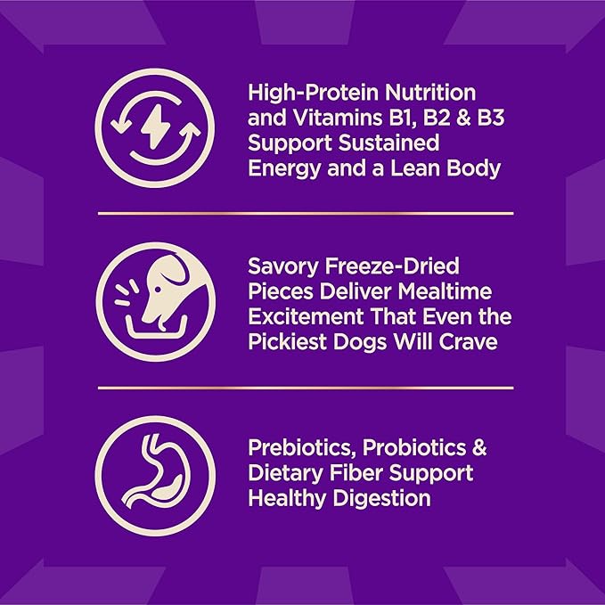 Wellness CORE+ Adult Dry Dog Food with Freeze Dried Pieces, Grain Free Kibble+, Natural, High Protein, Wild Game Duck, Lamb, Boar, and Rabbit Recipe, 18 lb Bag