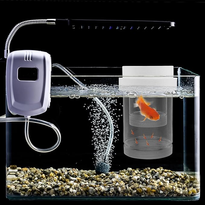 DOITOOL Floating Hatchery Box and Aquarium Breeder Isolation Box Plastic with Fine and Coarse Mesh Set, Small Size Floating Fish Breeding Incubator for Guppy Fry and Betta in Home
