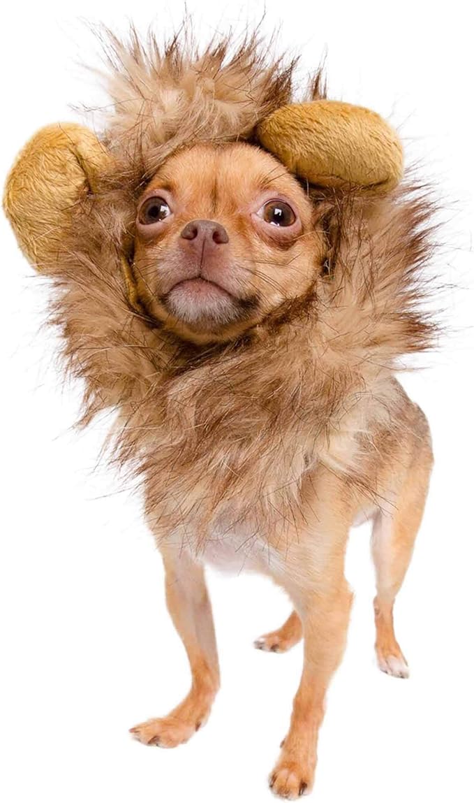 Pet Krewe Lion Mane Halloween Costume for Large and Small Dogs - Ideal for Halloween, Birthday, Cosplay, Outfits, Pet Clothes (Cat Small)