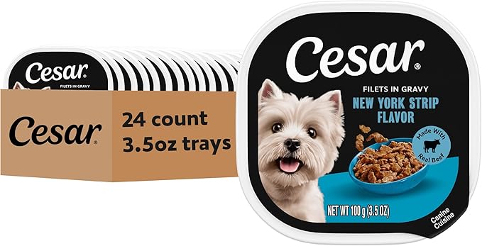 Cesar Filets in Gravy Adult Wet Dog Food New York Strip Flavor, 3.5 oz. Easy Peel Dog Food Tray, 24 Count (Pack of 1)