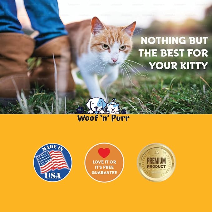 Lysine for Cats - L-Lysine for Cats - May Help with Respiratory Health, Sneezing, Runny Nose & More - Cat Cold Relief - Cat Sneezing Treatment - 1 fl oz