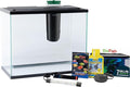 GloFish Aquarium Starter Kit, 6.6 Gallon Fish Tank, Includes Blue & White LED Lights, Tetra Whisper Bio-Bag Filter & Thermometer