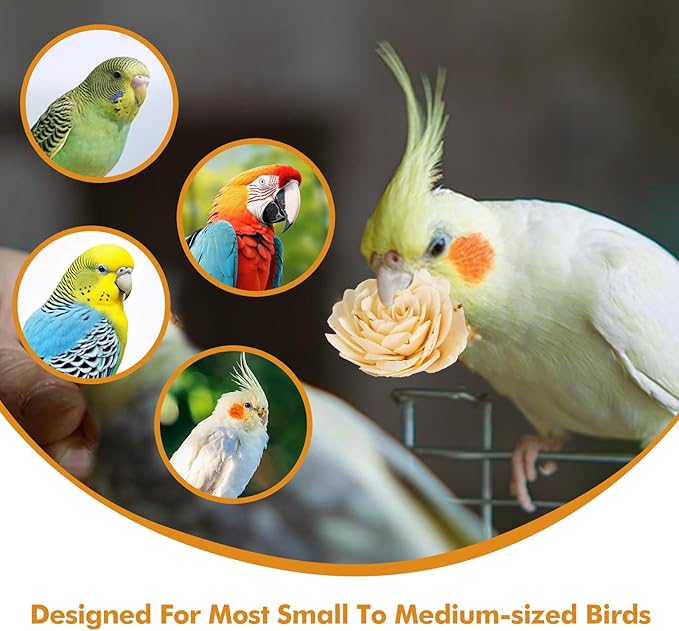 Large Style Bird Toys Box Bird Foraging Shredding Toy Box Parrot Foraging Shredding Toys Box Chewing Toy Birdcage Accessories for Conures Caiques Cockatiel Budgies Parakeet and Small to Medium Birds