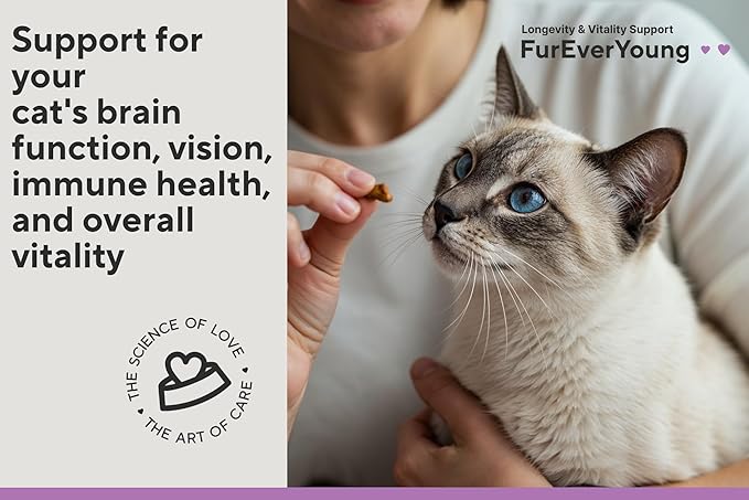 Vitamin Treats for Senior Cats: Vision & Brain Function, Longevity & Overall Vitality, Immune Health for Aging Cats. Enriched with Breakthrough Active Ingredients (30 Days Supply)