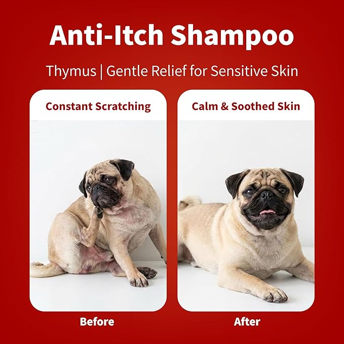 Arf Arf 5X Concentrated Oatmeal Dog Shampoo for Sensitive Skin - Tear-Free Deodorizing Wash for Puppies & Frenchies - Soothing Lithospermum & German Odor Control Formula - 16oz