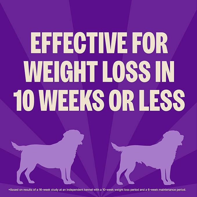 Wellness CORE Healthy Weight Adult Dry Dog Food, Grain Free Kibble, Natural, High Protein, Turkey and Chicken Recipe, 4 lb Bag