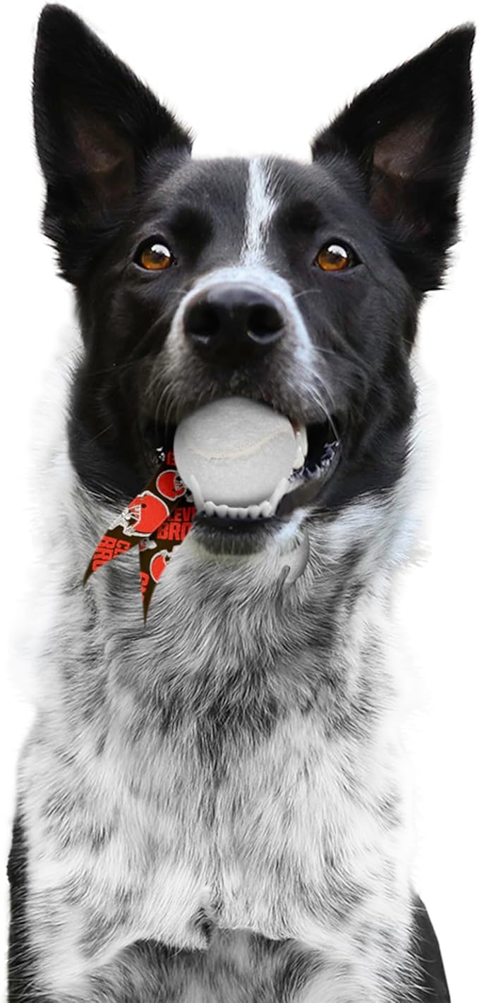 Littlearth NFL Pet Ball Launcher