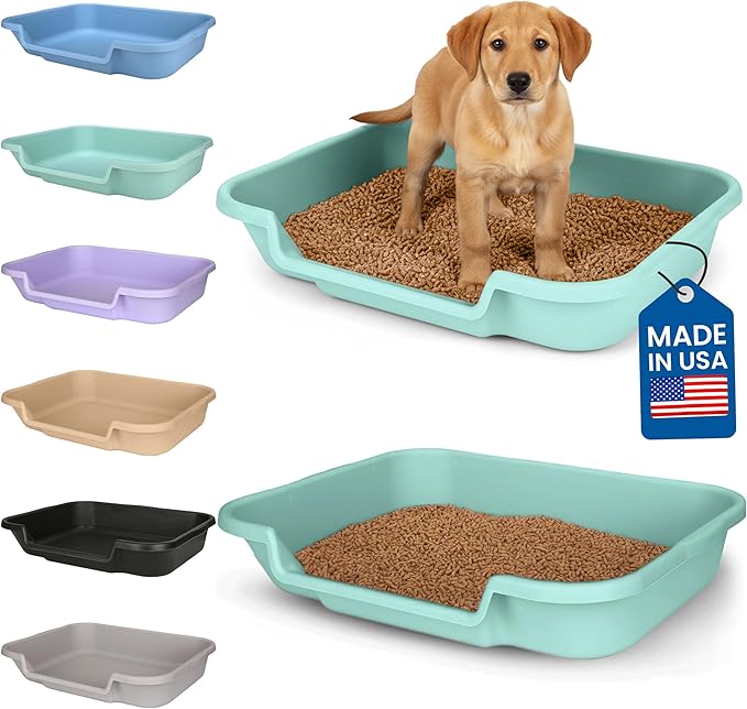 Dog Litter Box, Apple Green Color, Large Size, Durable & Pet Safe Puppy Litter Box, Indoor Open Top Entry Dog Litter Pan, Comfortable for Dogs, Great for Dogs up to 20 lbs (2 Pack)