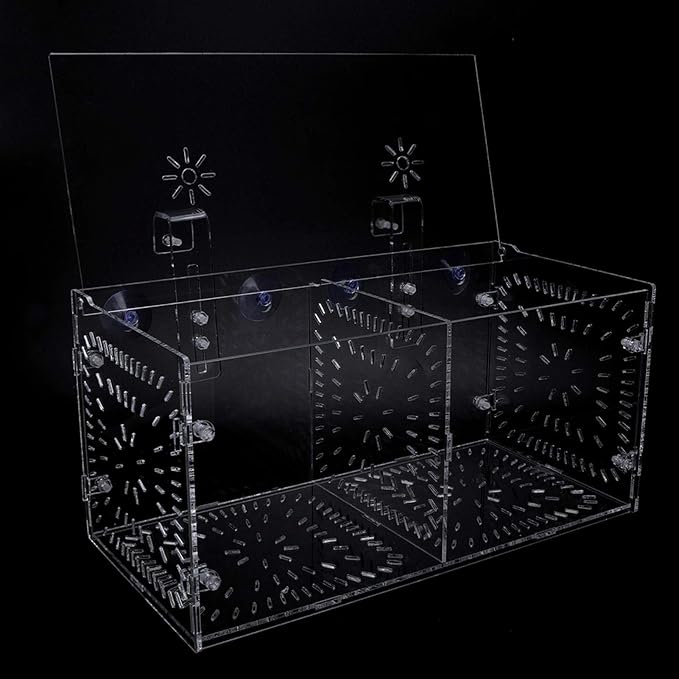 EVTSCAN Aquarium Breeder Box for Fish Tank, Fish Breeding Box Tank Hatchery Incubator Aquarium Isolation Box for Seedlings Incubation(M)