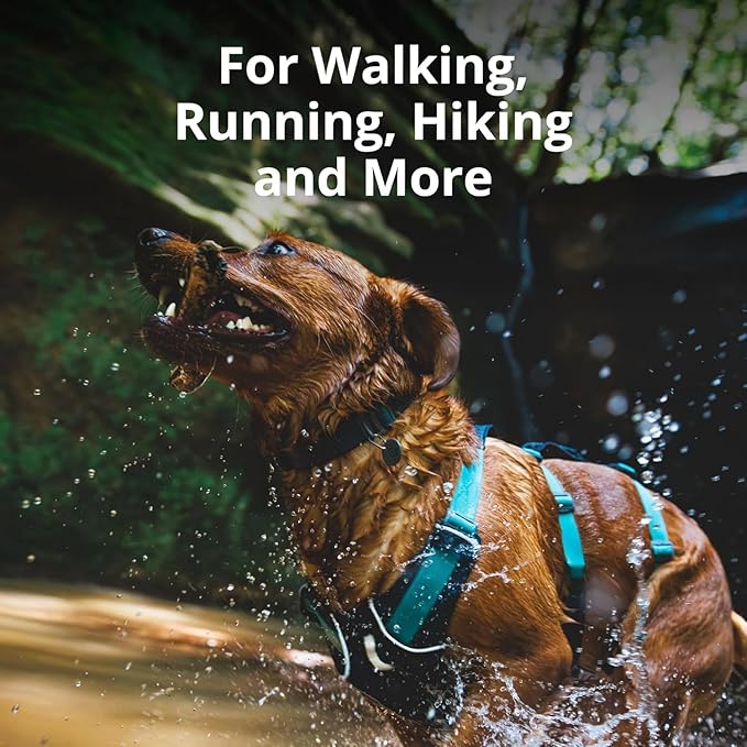 Ruffwear, Flagline Dog Harness, Lightweight and Reflective, No Pull Dog Lift Harness for Hiking, Running and Everyday Use, Sage Green, Large/X-Large