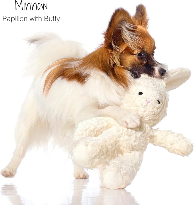 Plush Durable Cotton Dog Toys with Coconut Fill for All Pet Breeds, Bear Bunny Elephant (with Basket), One Size