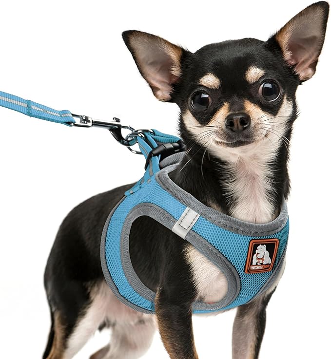 Dog Harness Medium Sized Dogs, Puppy Harness and Leash Set for Training, Running, Walking, Suitable for Small and Medium Dog Vest, Blue, M