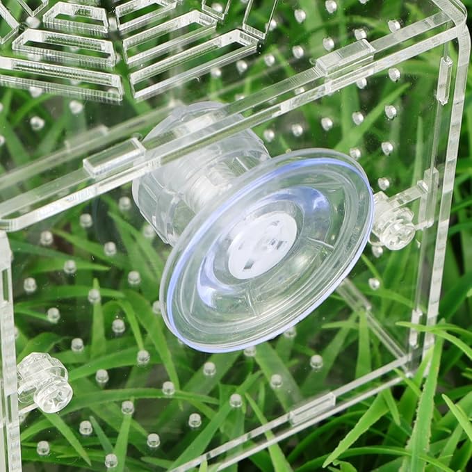 Acrylic Fish Breeding Tank with 2mm Round Hole Suction Cups 10x10x10cm Isolation Box for Aquarium Fish Hatchery and Fry Nursery
