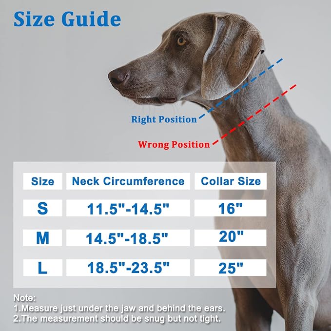 Mayerzon Martingale Collar for Dogs, No Pull Dog Collar with Reflective Strip for Small Medium Large Dogs, Anti Pulling Dog Collar with Buckle for Walking Training, Safe for Night Walk(Black, S)