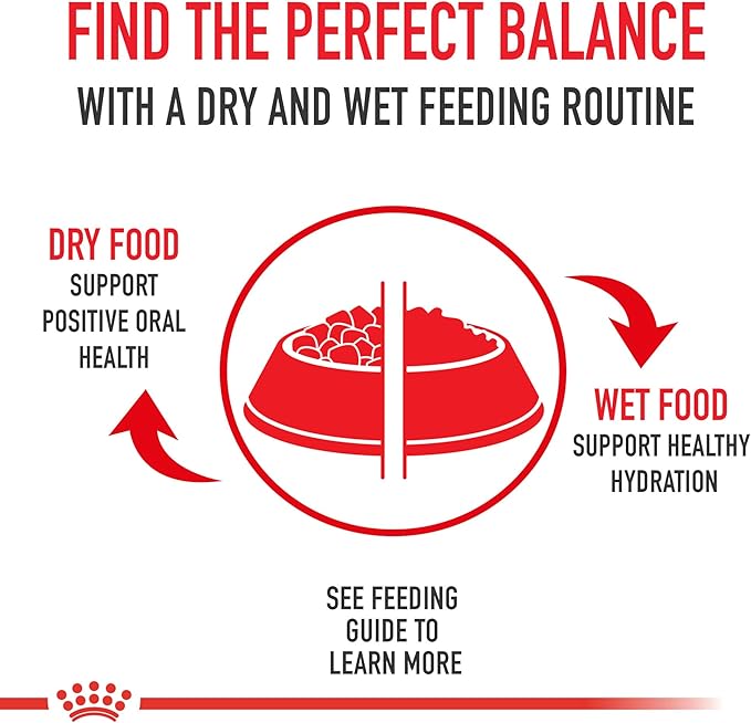 Royal Canin Feline Care Nutrition Appetite Control Care Adult Thin Slices in Gravy Cat Food, 3 oz (Pack of 24)