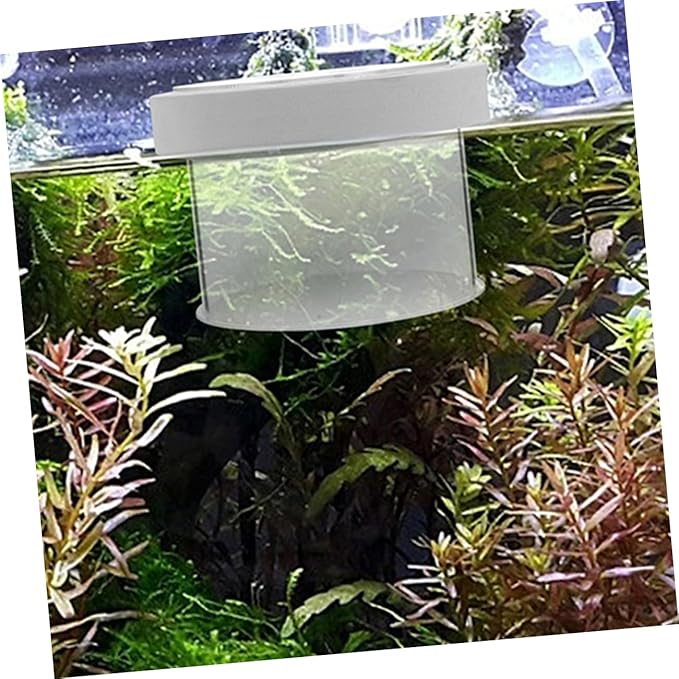 POPETPOP Fish Tank Isolation Box Acrylic Aquarium Breeding Box Fish Separator 360-degree Viewing Easy to Use
