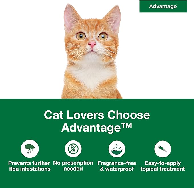 Advantage Topical Cat Flea Treatment and Prevention for Small Cats 2-9 lbs. | Apply Flea Drops Monthly | 2 Treatments (Pack of 3)