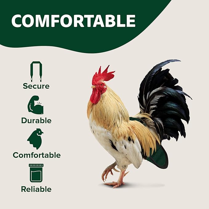 Hen Holster Wrap-Around Bird Diaper & Harness for Hens, Roosters, Ducks, Geese - with Removable Vinyl Liner, Adjustable Fit for Outdoor Adventures & Indoor Use - Easy to wear - Large, Green