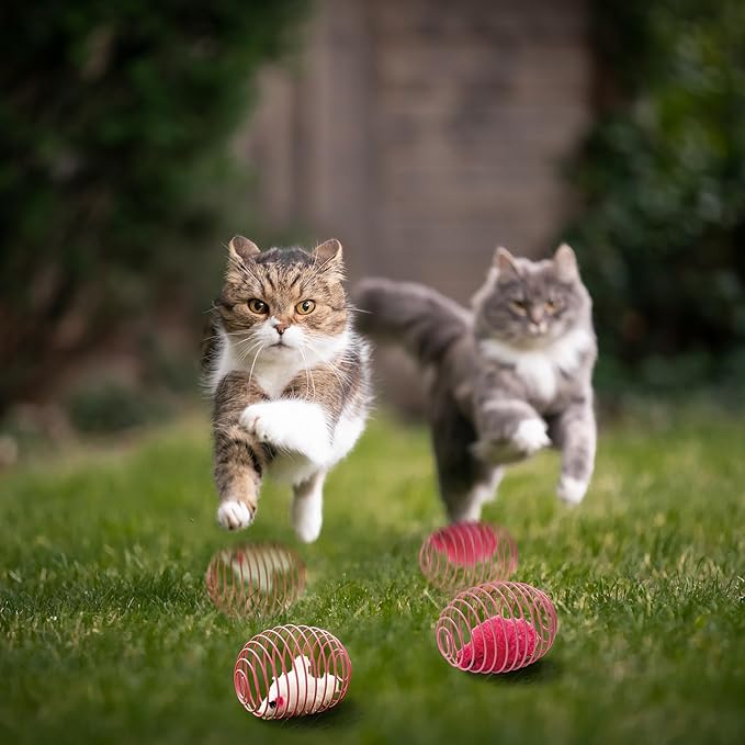 Jecery 5 Pcs Cat Spring Balls Toys Stretchable Rolling Balls Colorful Playful Coils Interactive Action Toy Caged Rats for Kitten Pet Supplies (Mouse,Pink)