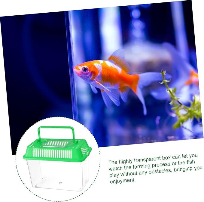 Temporary Fish Tank Handheld Plastic Tank for Goldfish and Turtles Easy to Clean