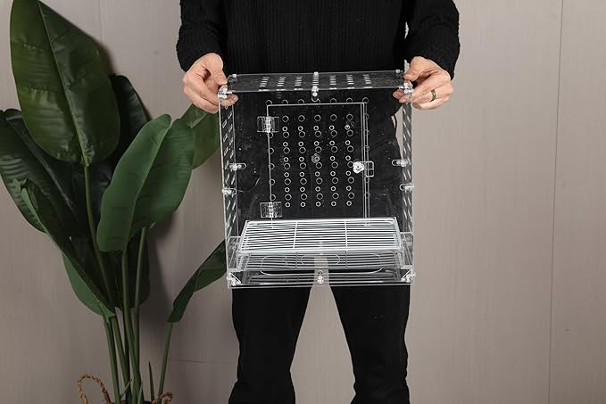Clear Acrylic Bird Cage for Small Birds, Transparent Display Habitat for Canary, Parakeet - Easy to Clean & Assemble (9x12x13in)