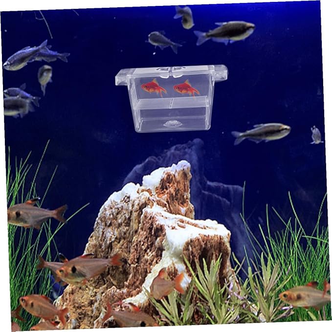Ciieeo 4pcs Betta Fish Fry Incubator Box Self-Floating Double-Layer Fish Egg Separator Case Plastic Breeding Tank Accessory for Aquarium Fry Hatchery