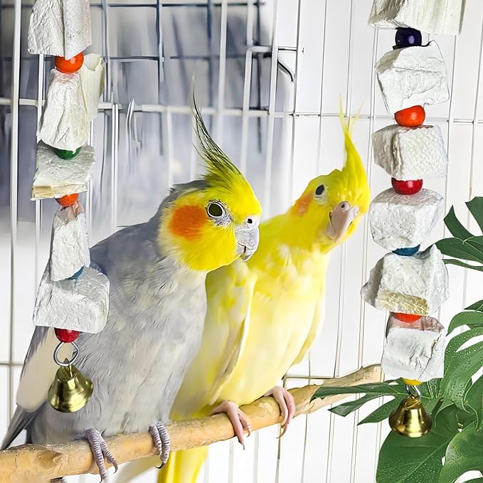 Hamiledyi 2 Pack Bird Toys with Eight Cuttlebone - Natural Calcium Chew Toy for Beak Grinding, Hanging Wooden Cage Accessories for Parakeets, Budgies, Cockatiels, Lovebirds(Style B)