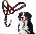 Halti Headcollar - Stop Your Dog Pulling on The Leash. Adjustable, Reflective and Lightweight, with Padded Nose Band. Dog Training Anti-Pull Collar for Large Dogs (Size 4, Deep Walnut)