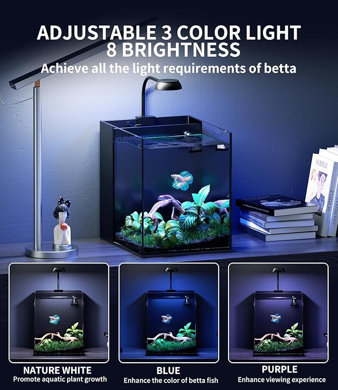 2 Gallon Fish Tank Aquarium Kit with Hidden Filtration, LED Light, Lid, Small Rimless Glass Betta Tank
