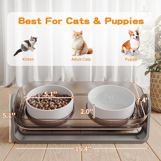 Oneluck Elevated Cat Bowl, Raised Ceramic Dish, 100% Waterproof Cat and Dog Bowls, 15° Tilted Raised Stand Slip Resistant Raised Edges, Catch Water, Food Mess, No Spills
