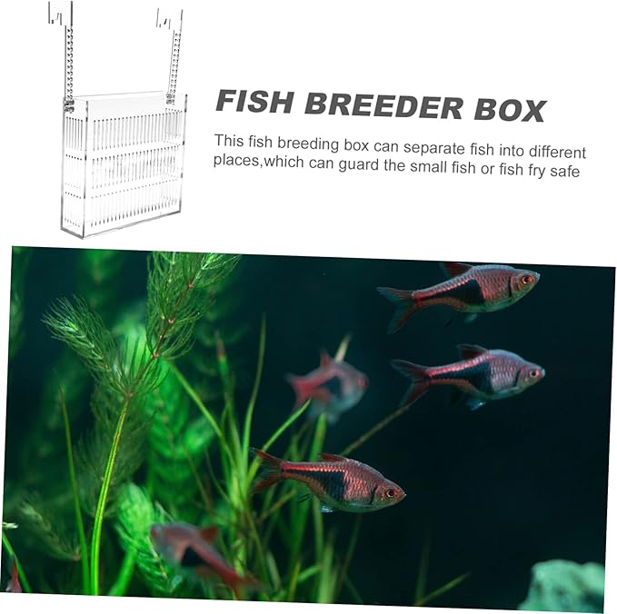 Sturdy Fish Breeding Box Aquarium Betta Tank Separator Acrylic Incubator Box