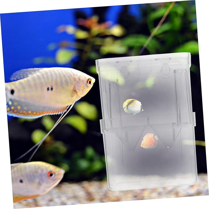 BESPORTBLE 4pcs Small Fish Tank Isolation Boxes for Guppy Breeding Aquarium Separation Container Suction Cups for Newborn Fish and Pregnant Care